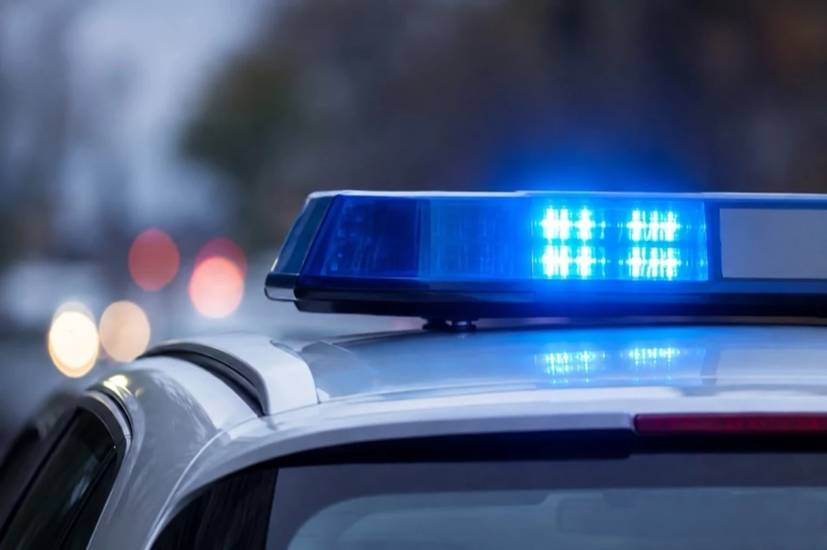 Generisches Polizeifahrzeug mit Blaulicht zur Vermisstensuche nach einer 16-Jährigen aus dem Harz
