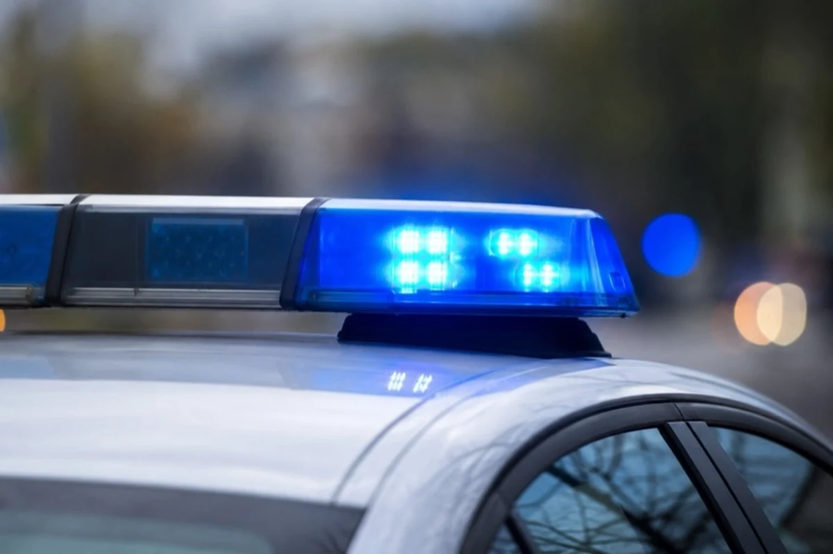 Polizeifahrzeug mit Blaulicht als neutrales Motiv zu Ermittlungen nach einem Containerbrand im Oberharz