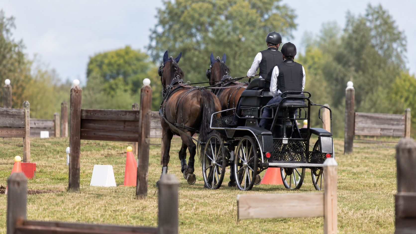 Pferdegespann auf einem Trainingsparcours als Symbol für die Deutsche Jugendmeisterschaft im Gespannfahren und Nachwuchs-Fahrsport.