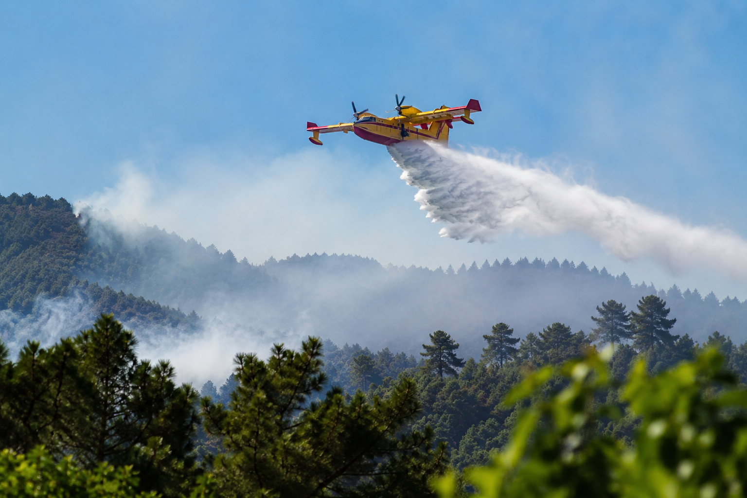 Löschflugzeug auf anonymem Flugfeld vor bewaldeter Landschaft als Symbol für Waldbrandbekämpfung im Harz