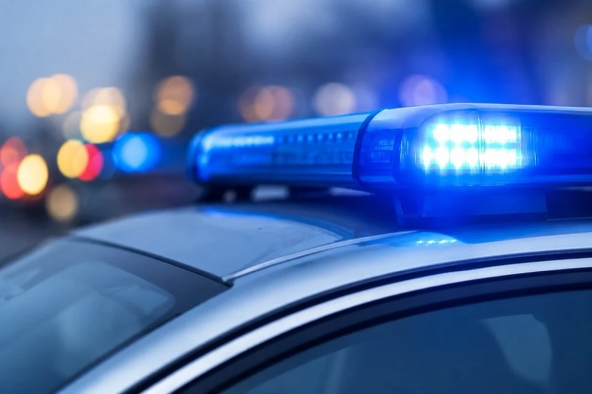 Generisches Polizeifahrzeug mit Blaulicht zu Ermittlungen nach einem Imbissbrand in Blankenburg im Harz