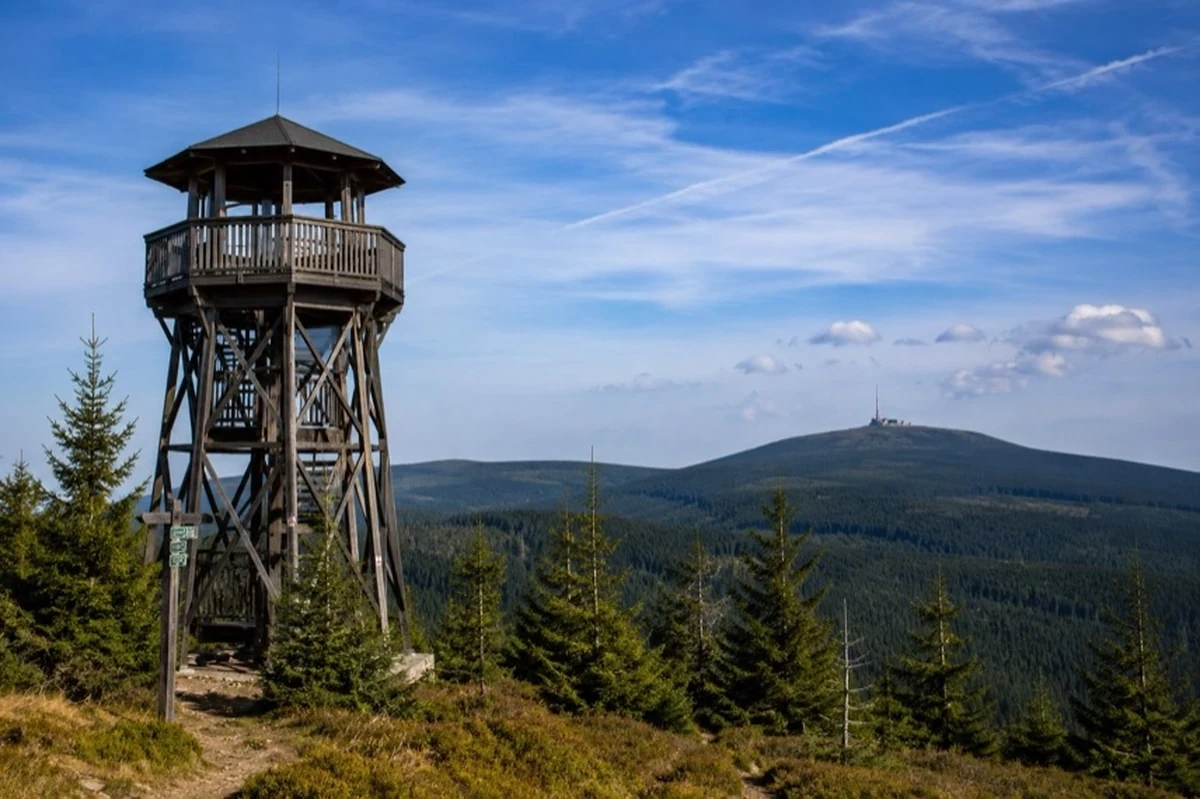Ein hölzerner Aussichtsturm auf einer bewaldeten Anhöhe im Harz mit Blick auf den Brocken am Horizont.