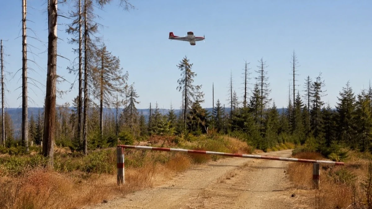 Löschflugzeug über trockenem Waldgebiet im Harz mit Warnschild zur Waldbrandgefahr