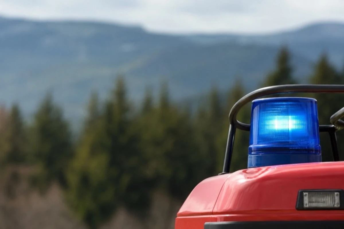Generisches Feuerwehrfahrzeug am Rand eines Waldgebietes ohne Feuer, Rauch oder erkennbare Ortsmerkmale.