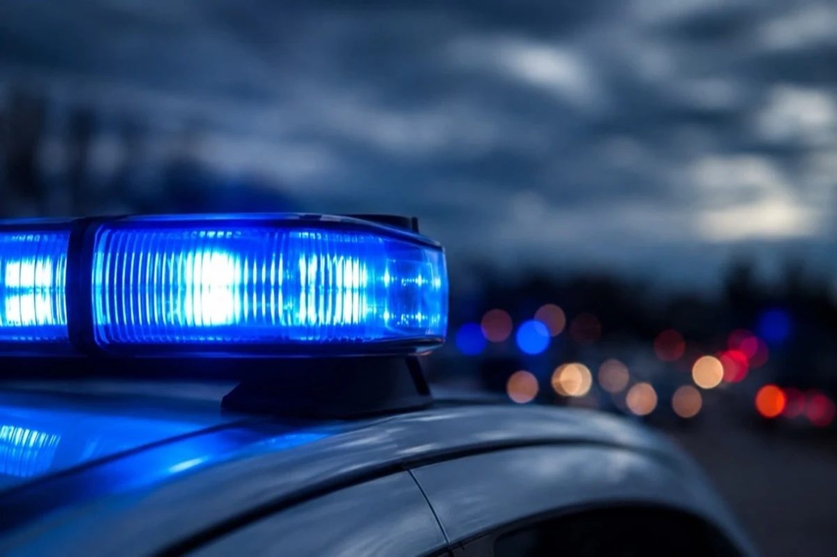 Generisches Polizeifahrzeug mit Blaulicht vor unscharfem Waldhintergrund im Harz-Kontext