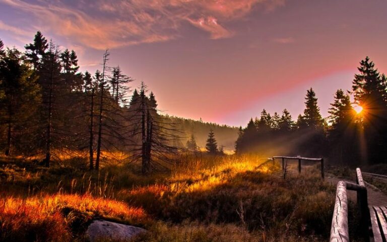 Harz | Abschluss der Brocken-Branduntersuchung: Das wurde festgestellt