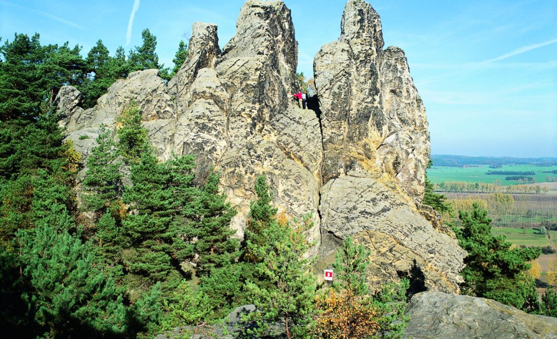Harz | Frau veröffentlicht einzigartigen Schnappschuss – “Oh mein Gott, wie niedlich!