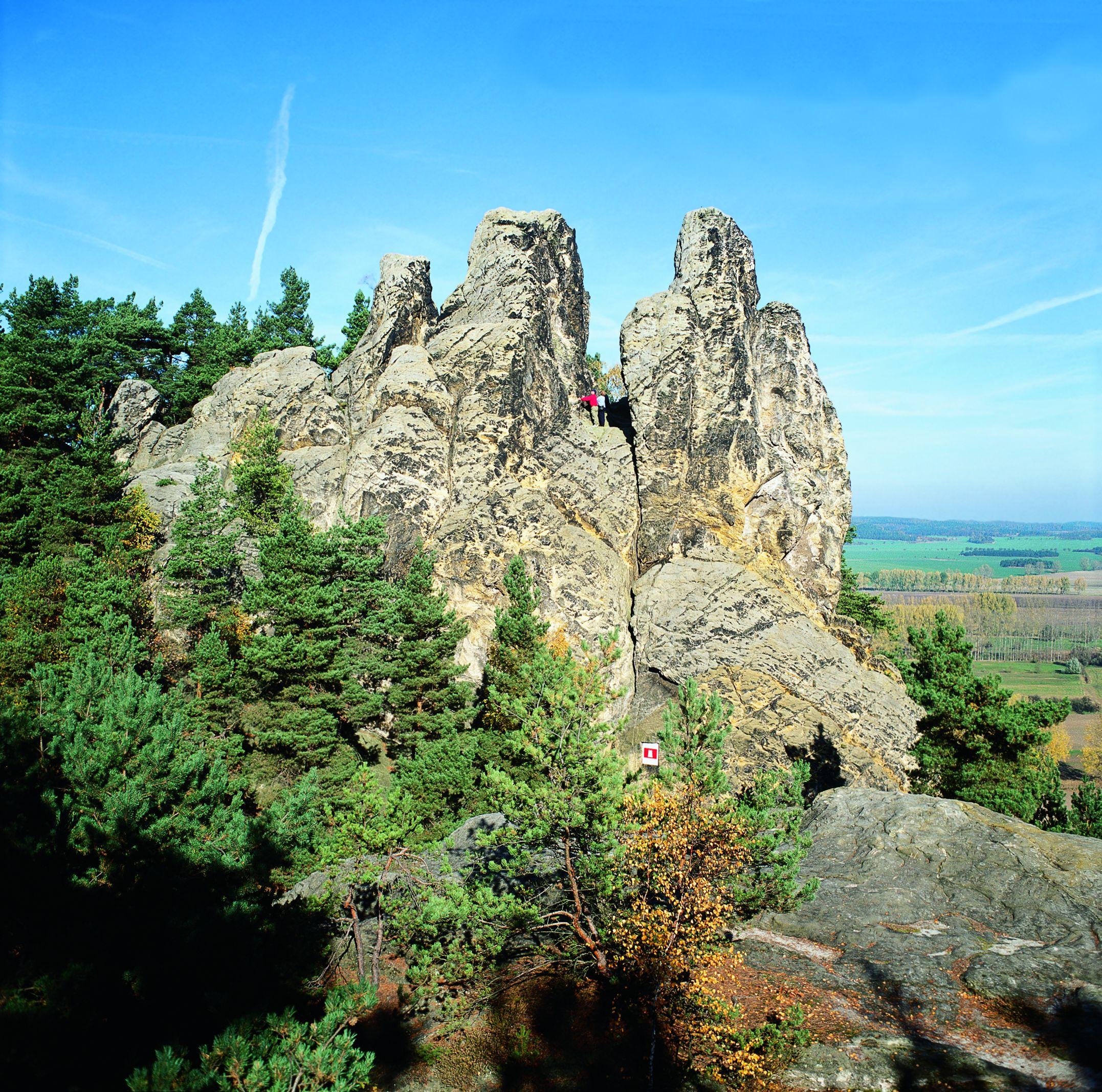 Harz | Frau veröffentlicht einzigartigen Schnappschuss – “Oh mein Gott, wie niedlich!