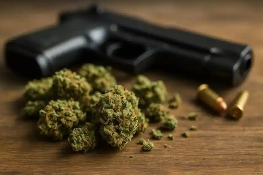 Symbolbild Cannabis-Raub im Harz – nachgestelltes Foto mit Cannabisblüten, Pistole und Patronen auf Holztisch.