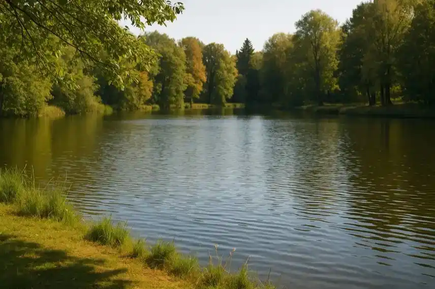 Ein klarer See im Harz, umgeben von Bäumen bei sonnigem Wetter, mit ruhiger Wasseroberfläche und sanfter Tiefenschärfe.