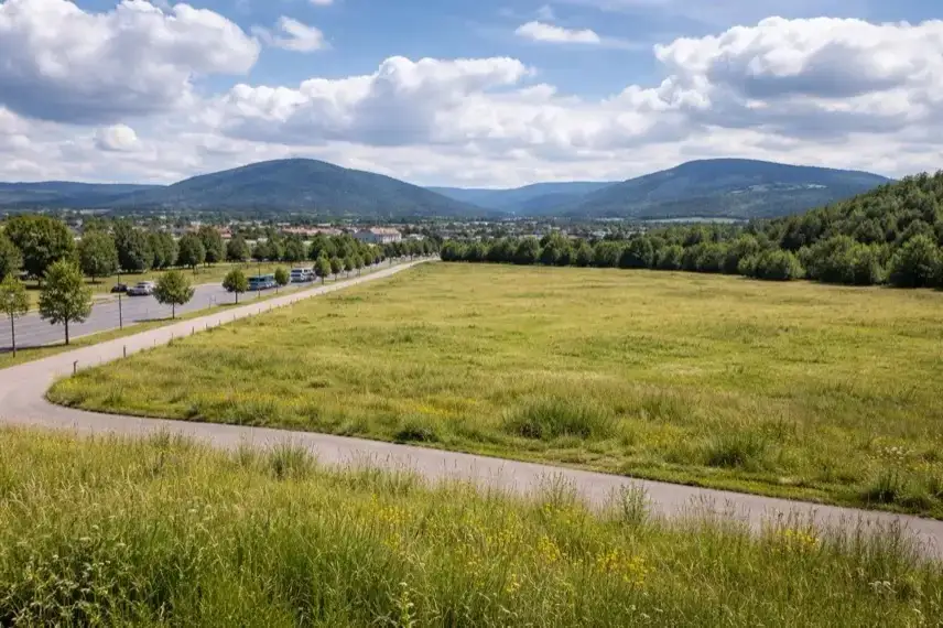 Freies Gelände mit Grünfläche und angrenzender Straße in Wernigerode, vorgesehen als Standort für das geplante Karls Erdbeer-Dorf im Harz.