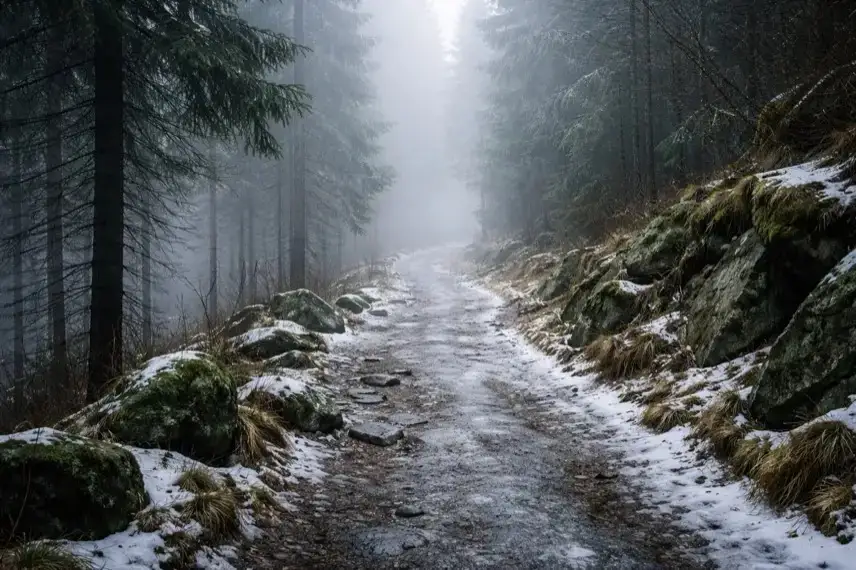 Vereister Wanderweg im Harz bei Braunlage mit Nebel und Wald, schwierige Bedingungen in den Bergen im Winter