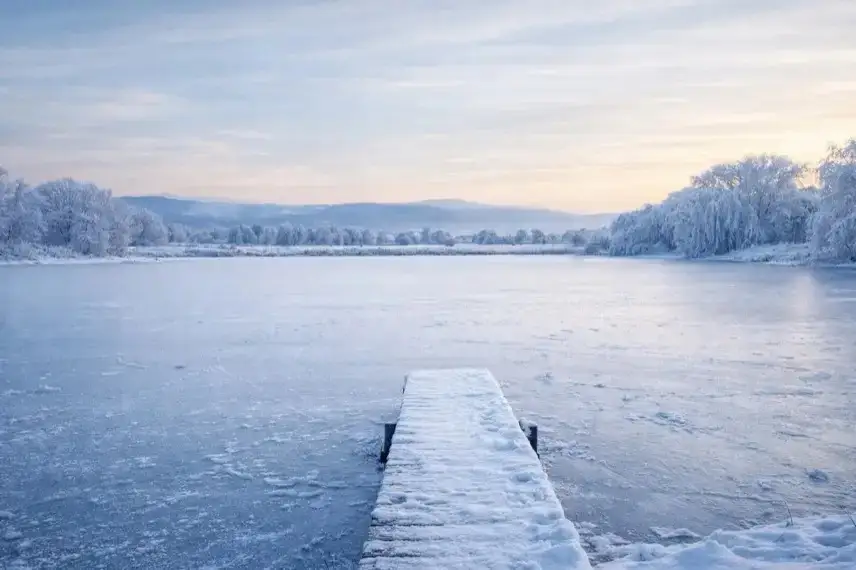 Winterlicher Reddeberteich bei der Teichmühle in Wernigerode mit dunklem Wasser, Frost am Ufer und kahlen Bäumen an einem kalten Januartag.