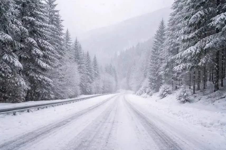 Verschneite Straße im Harz mit dichter Schneedecke, winterlichem Wald und eingeschränkter Sicht bei anhaltendem Schneefall