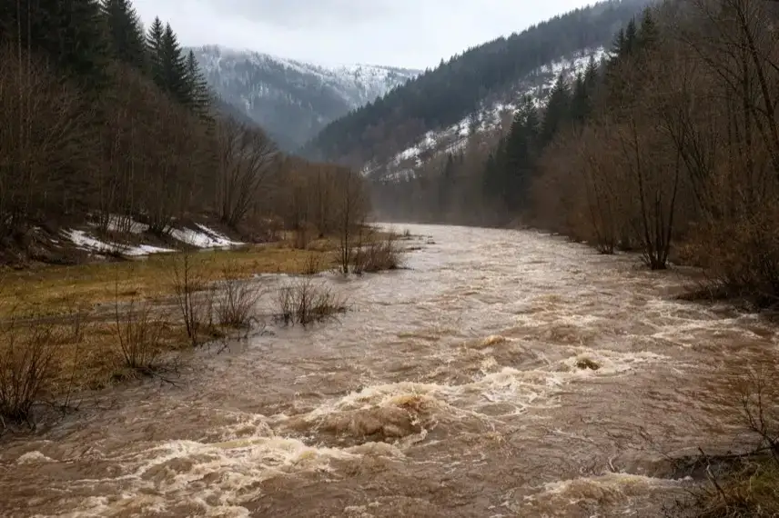 Angeschwollener Fluss im Harz mit hohem Wasserstand nach Schneeschmelze und Dauerregen, überschwemmte Uferbereiche